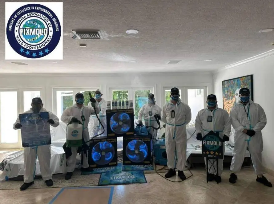 Fixmold Team