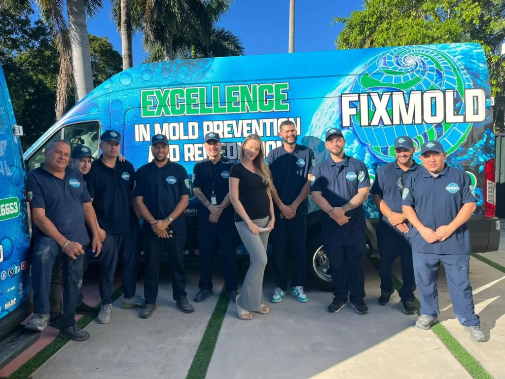 Fixmold Gallery
