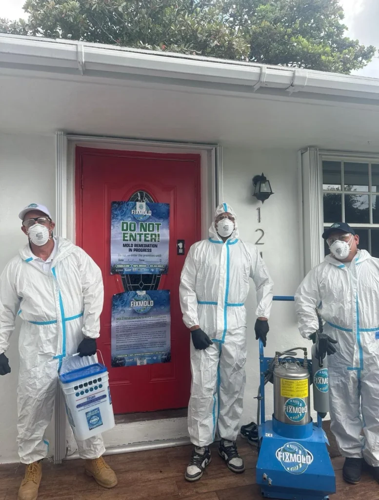 mold remediation by Fixmold