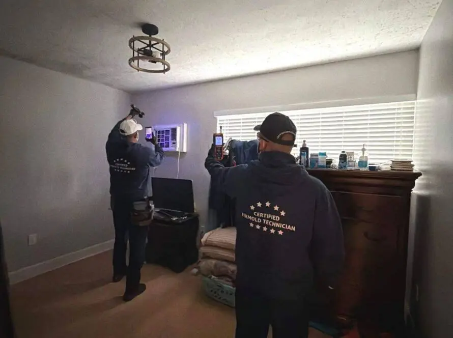 Fixmold team