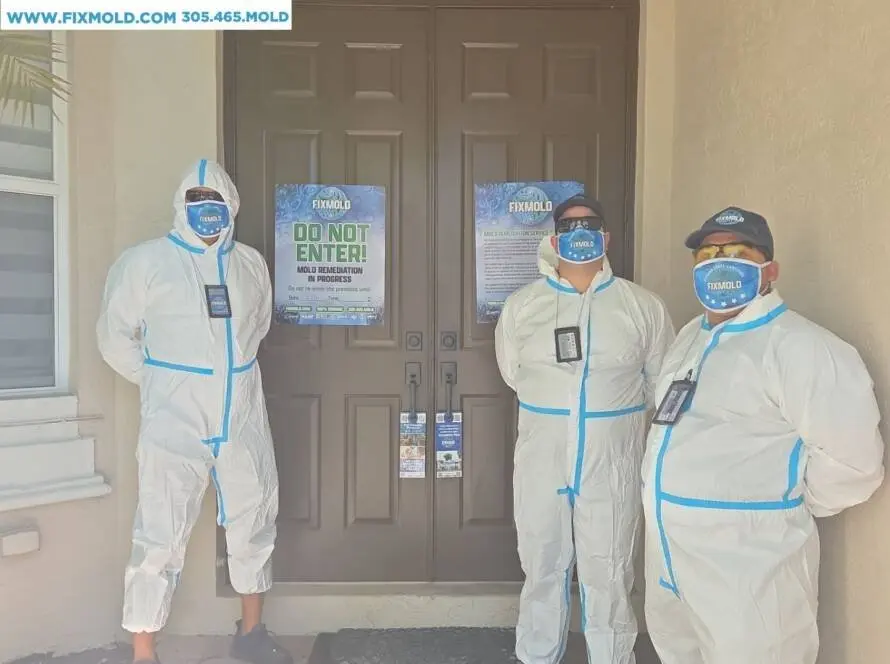 Fixmold team
