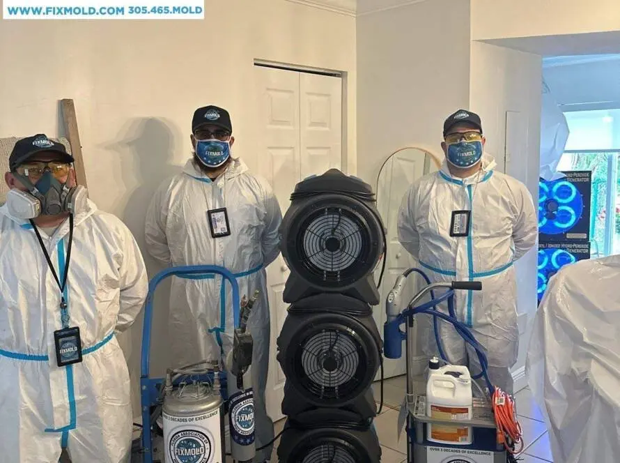 FixMold team