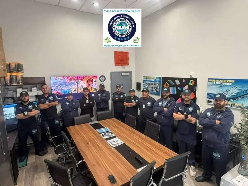 MIAMI MOLD SPECIALIST