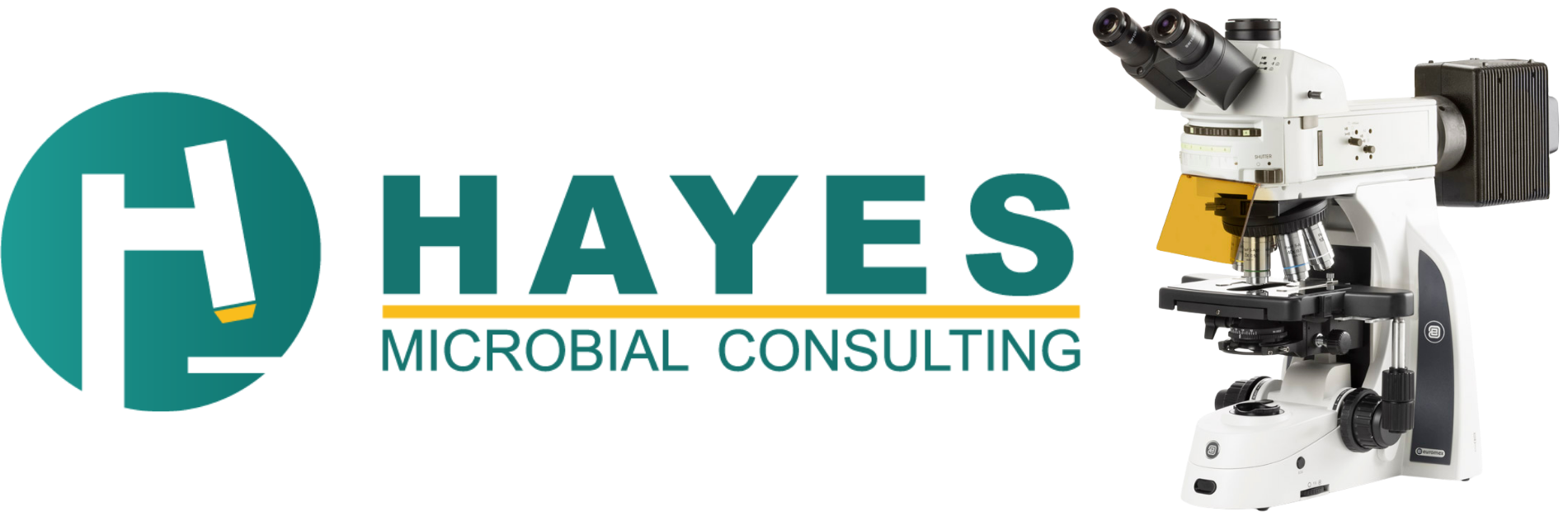 Hayes