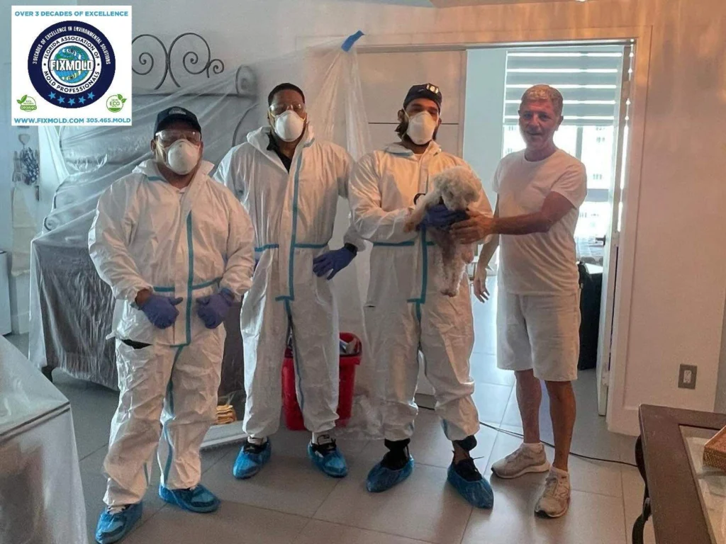 mold remediation by Fixmold
