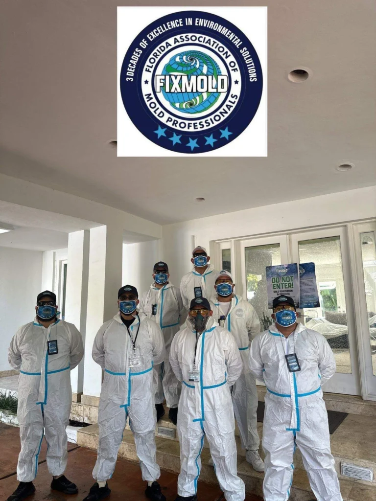mold remediation by Fixmold