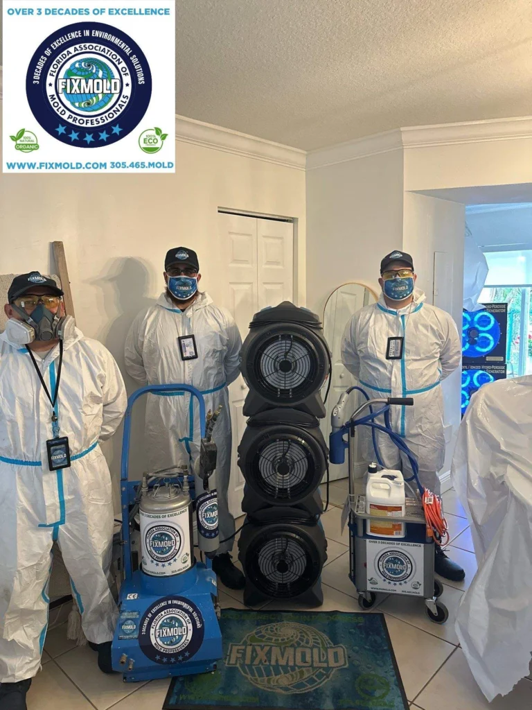 mold remediation by Fixmold
