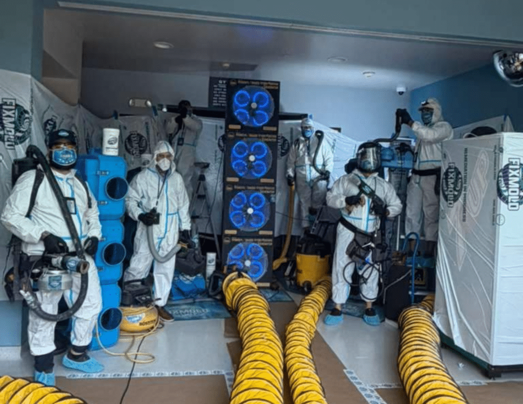 Fixmold miami