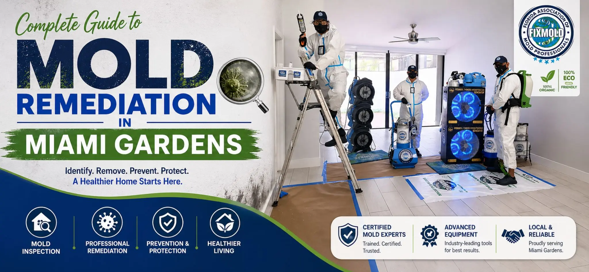 Complete Guide to Mold Remediation Miami Gardens