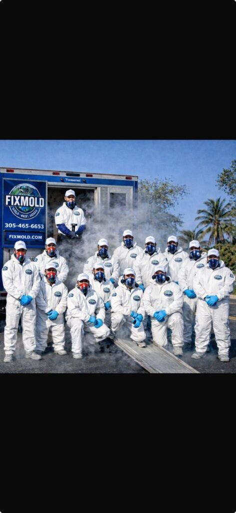Fixmold team