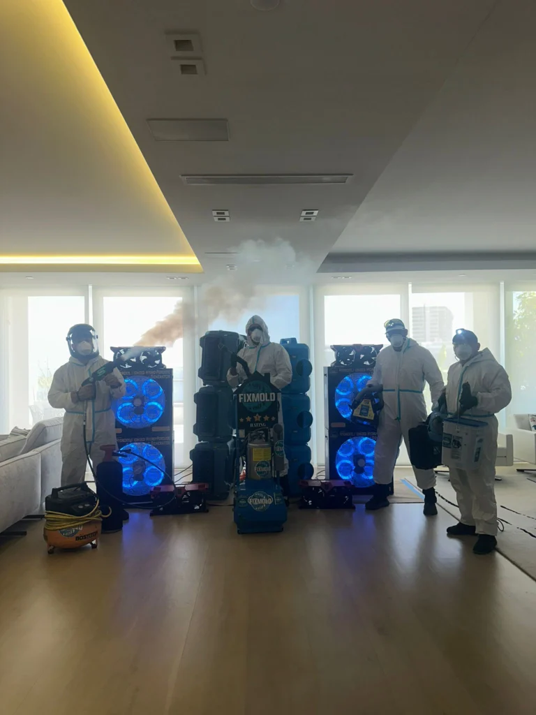 Fixmold Miami