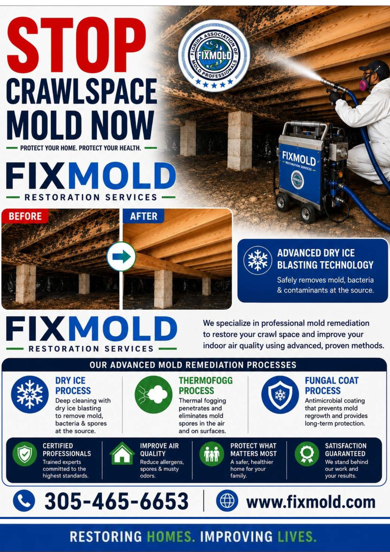 Crawlspace Mold Removal