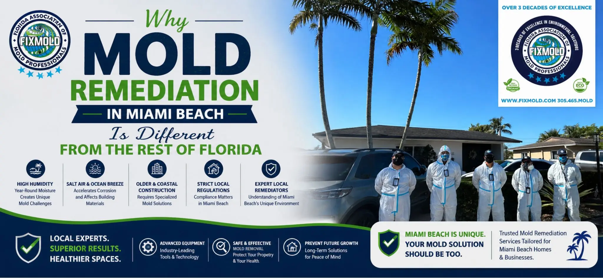 Mold Remediation in Miami Beach Is Different