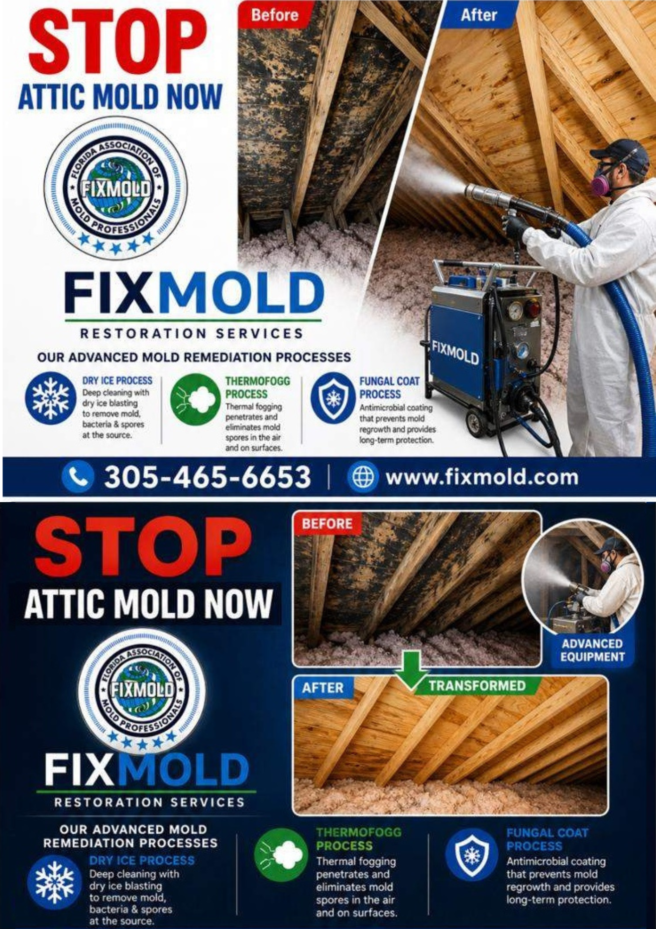 Stop Attic mold