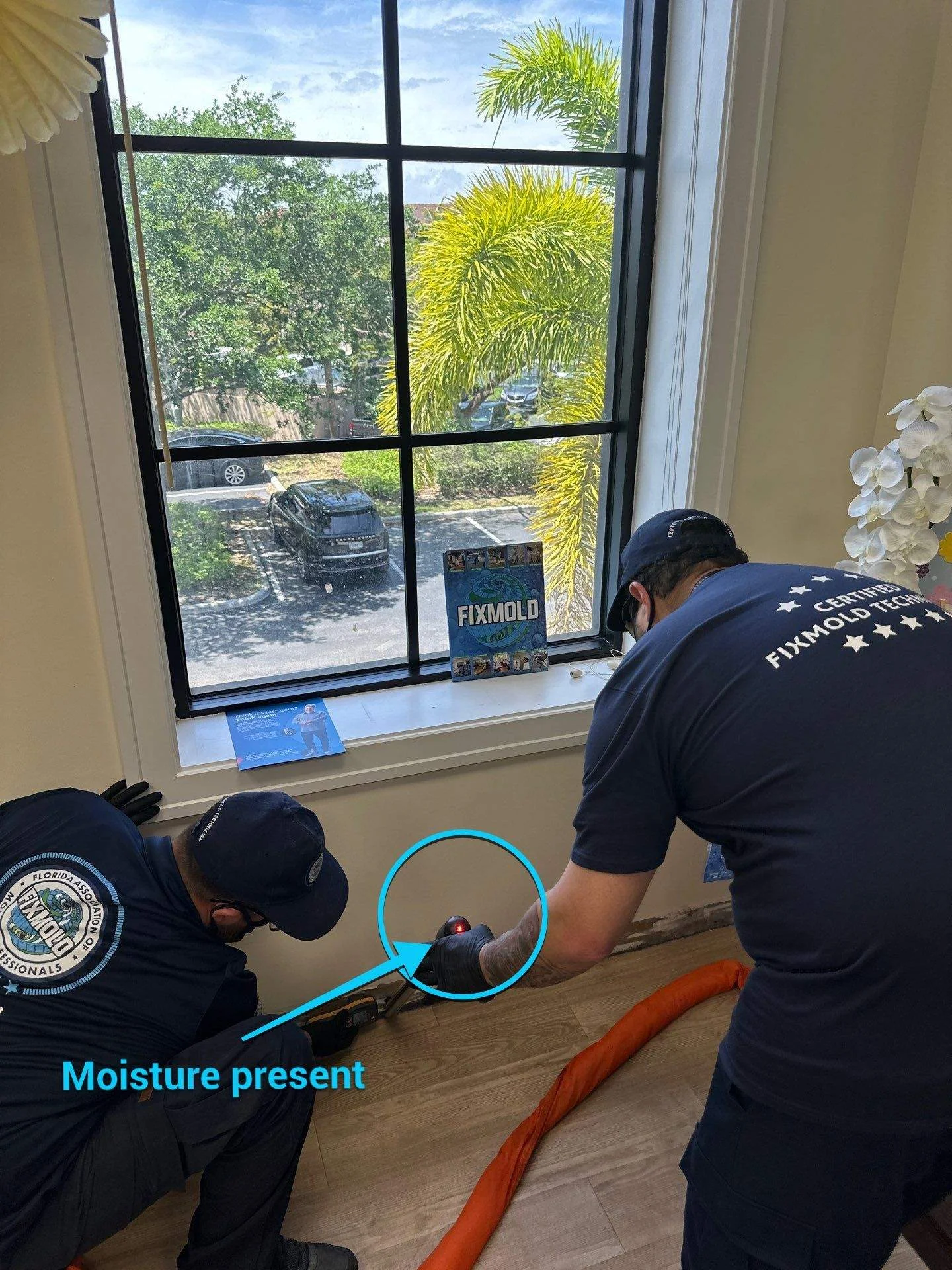 miami fixmold