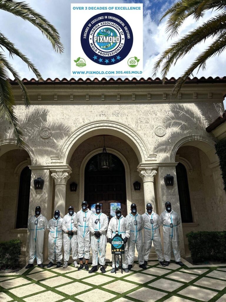 Fixmold Team