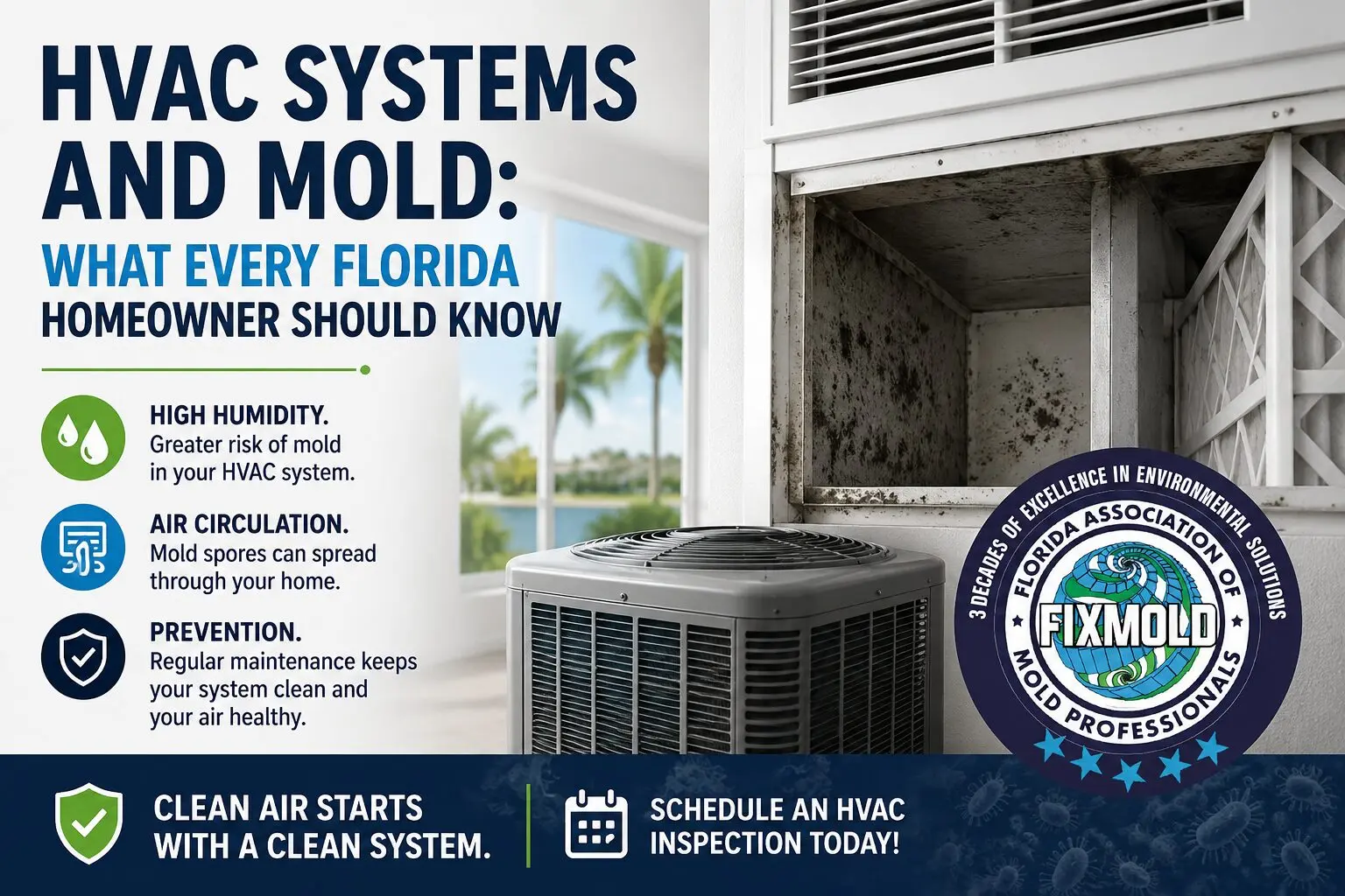 High Humidity Mold Services