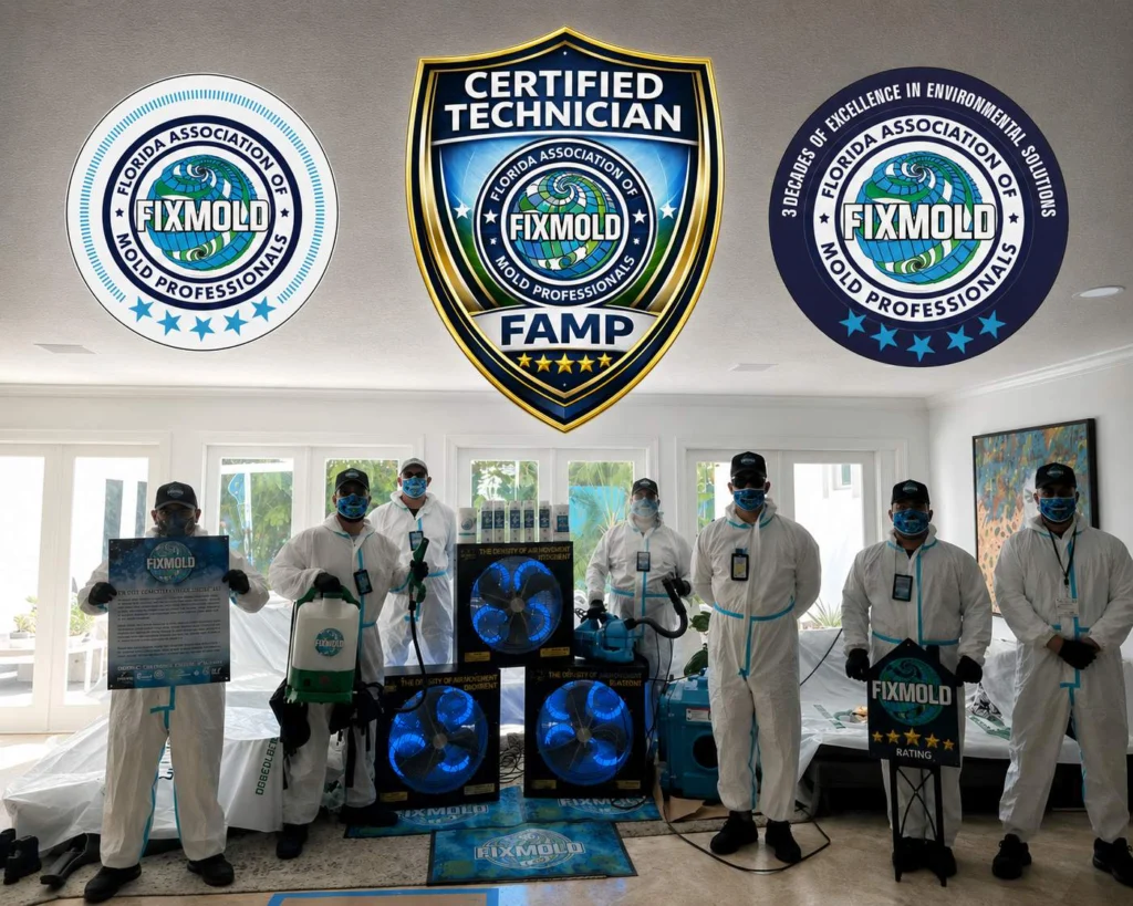 Fixmold team