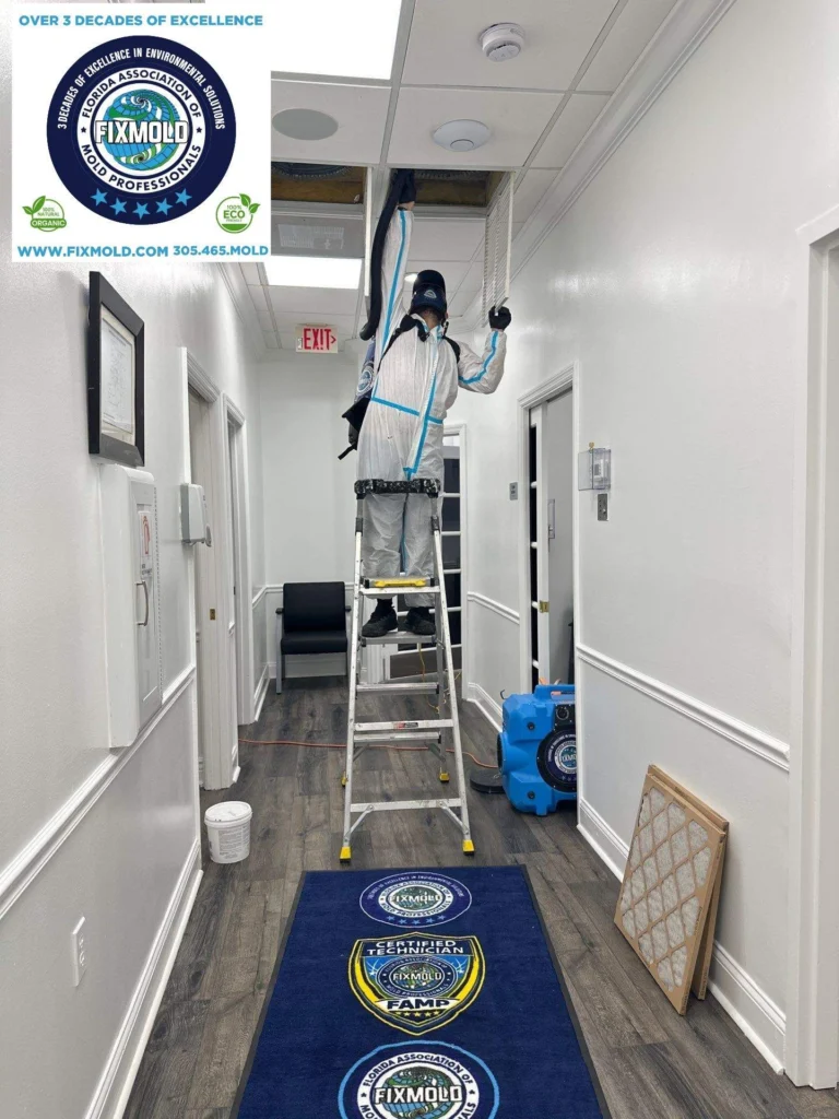 Fixmold team
