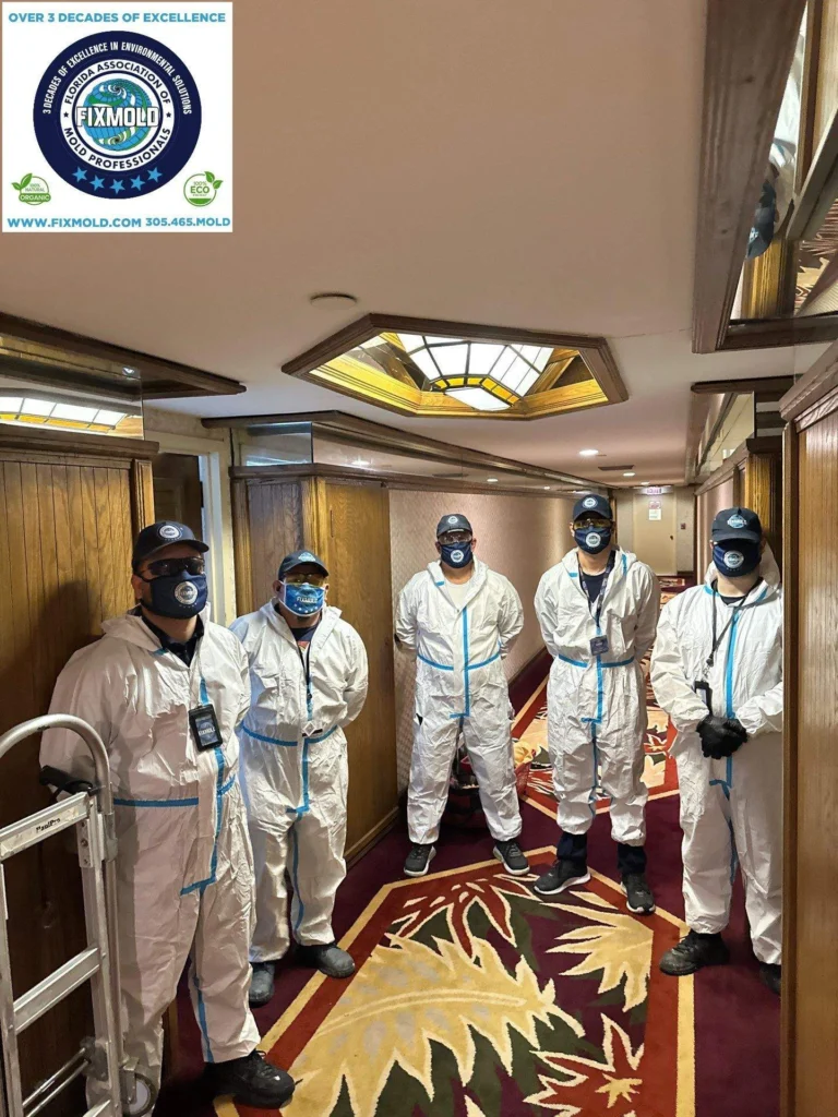 Fixmold team