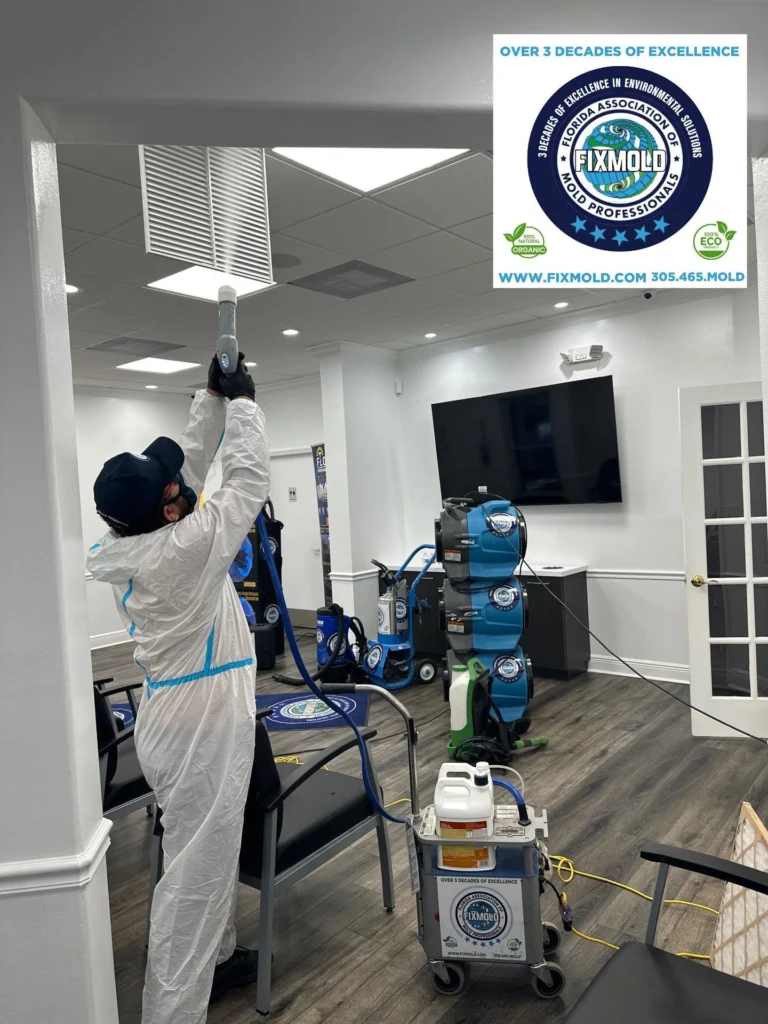 Fixmold Miami