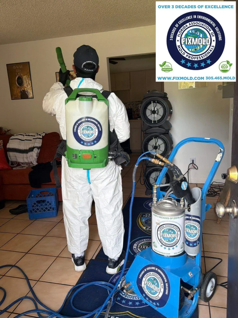mold remediation by Fixmold