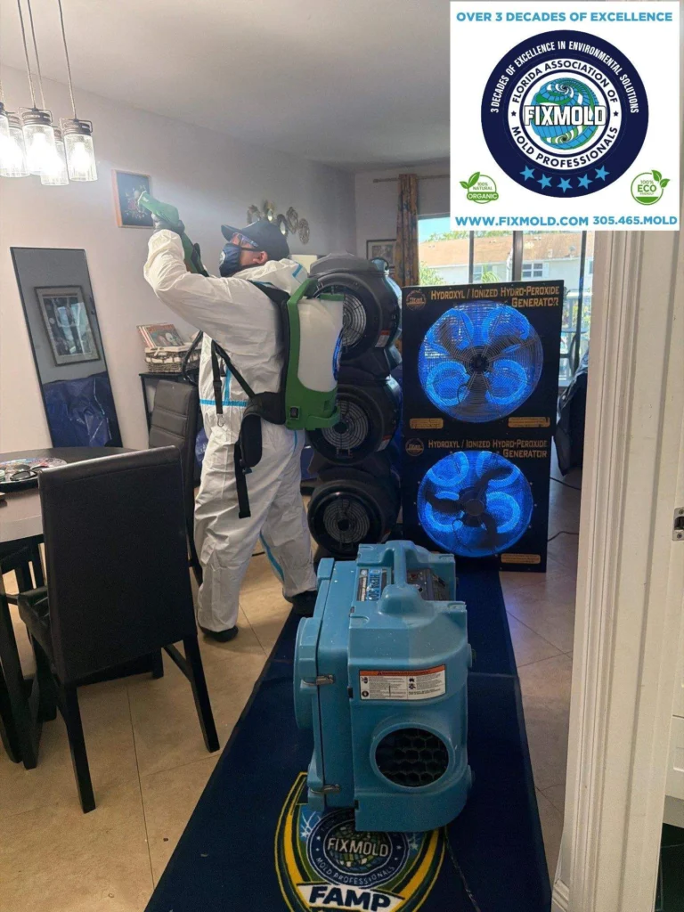 Mold remediation