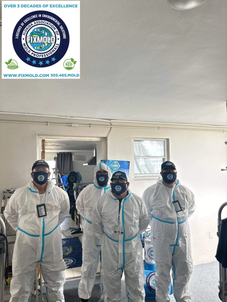 Fixmold team