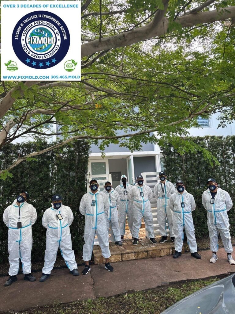 Fixmold team
