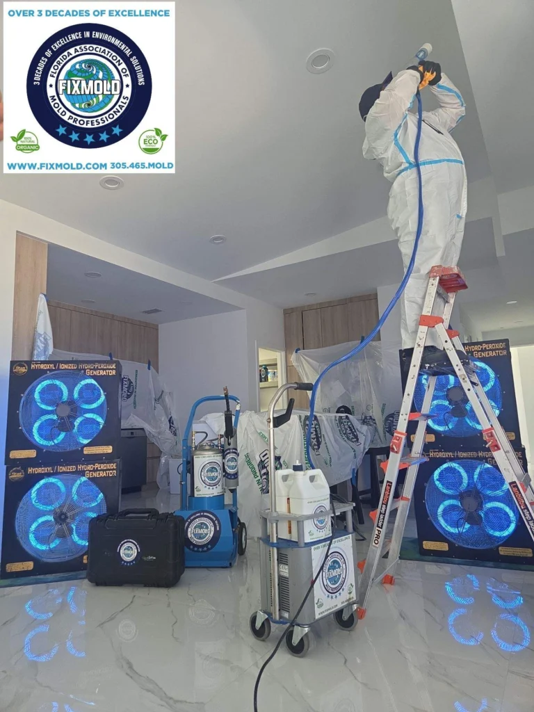 mold remediation by Fixmold