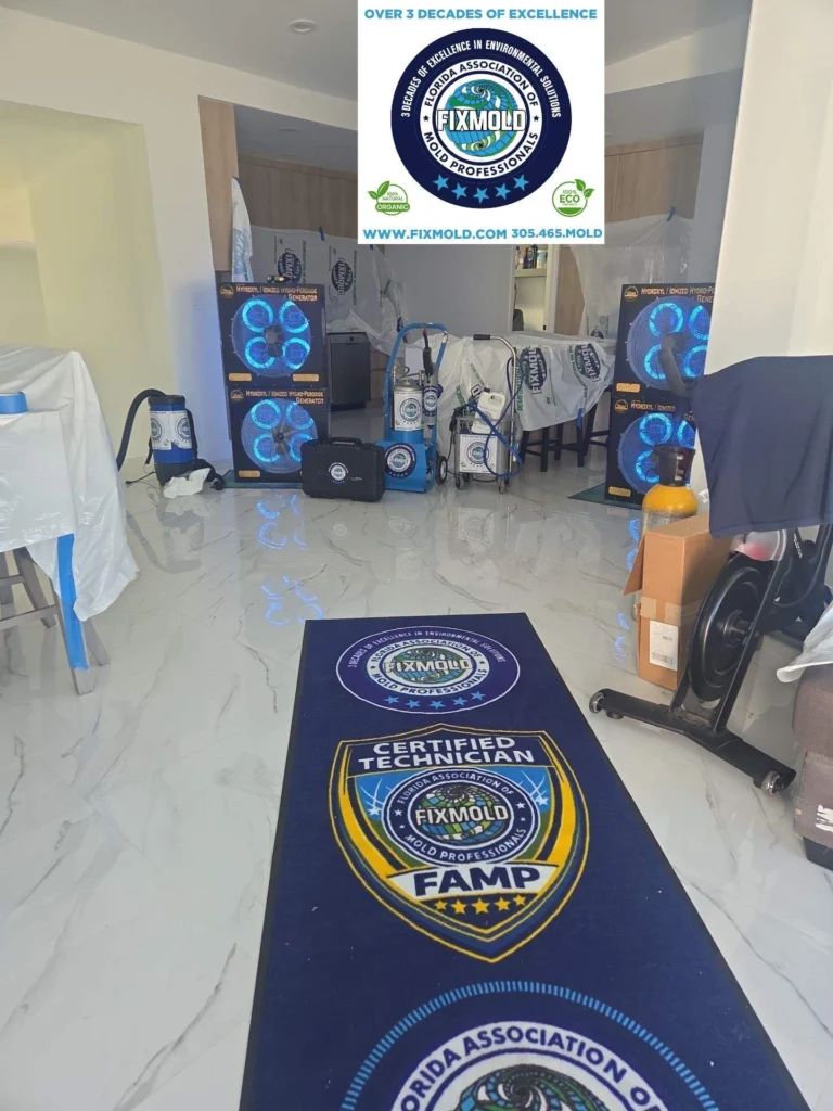 Fixmold miami