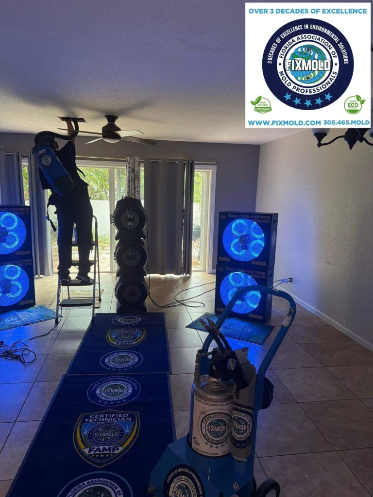 Fixmold miami