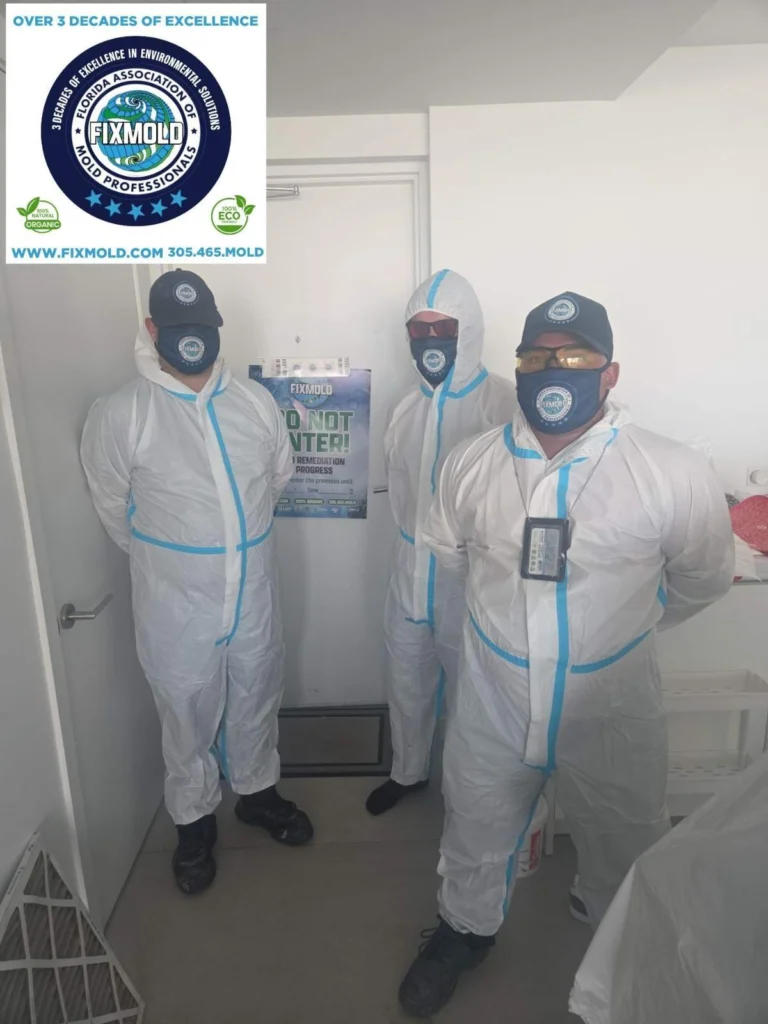 Fixmold Team