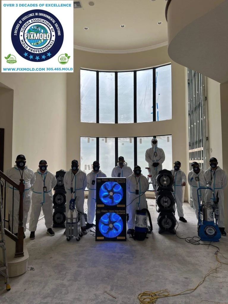 Fixmold team