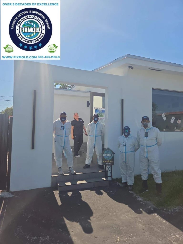 Fixmold Team
