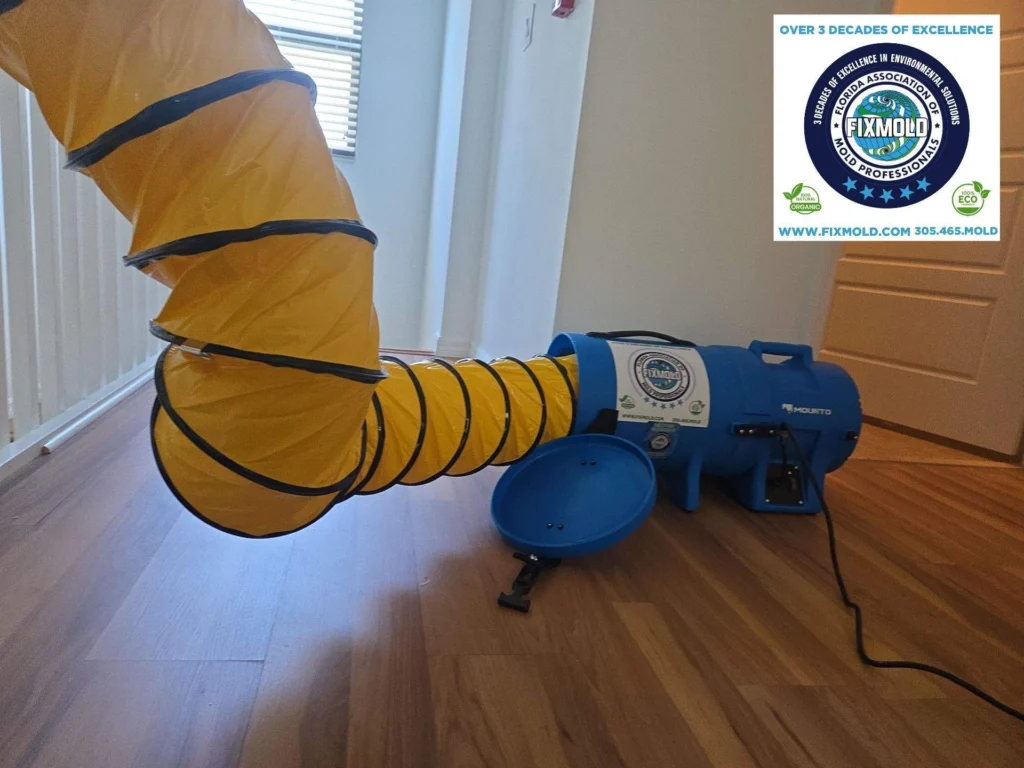 Fixmold Miami