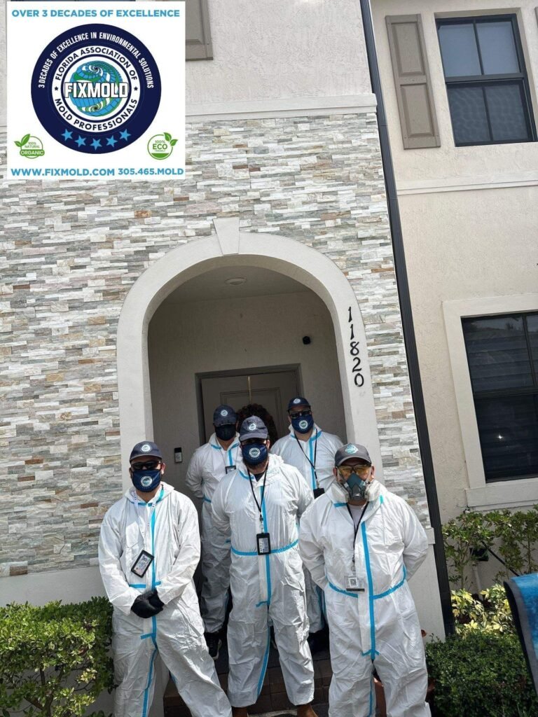 Fixmold team