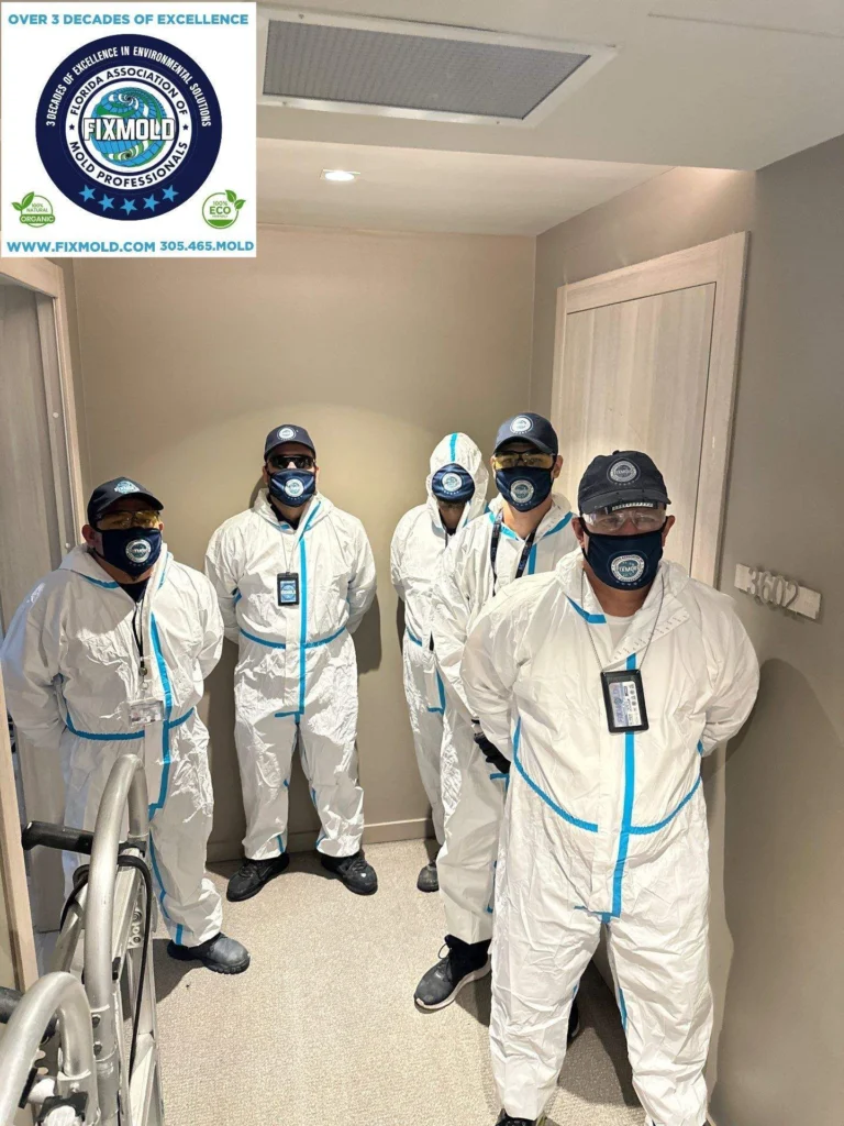 Fixmold Team