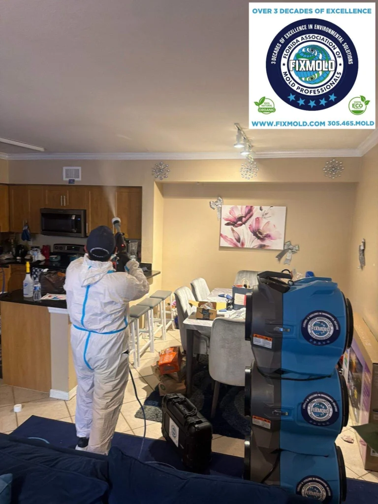 mold remediation by Fixmold