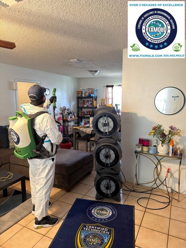 mold remediation by Fixmold