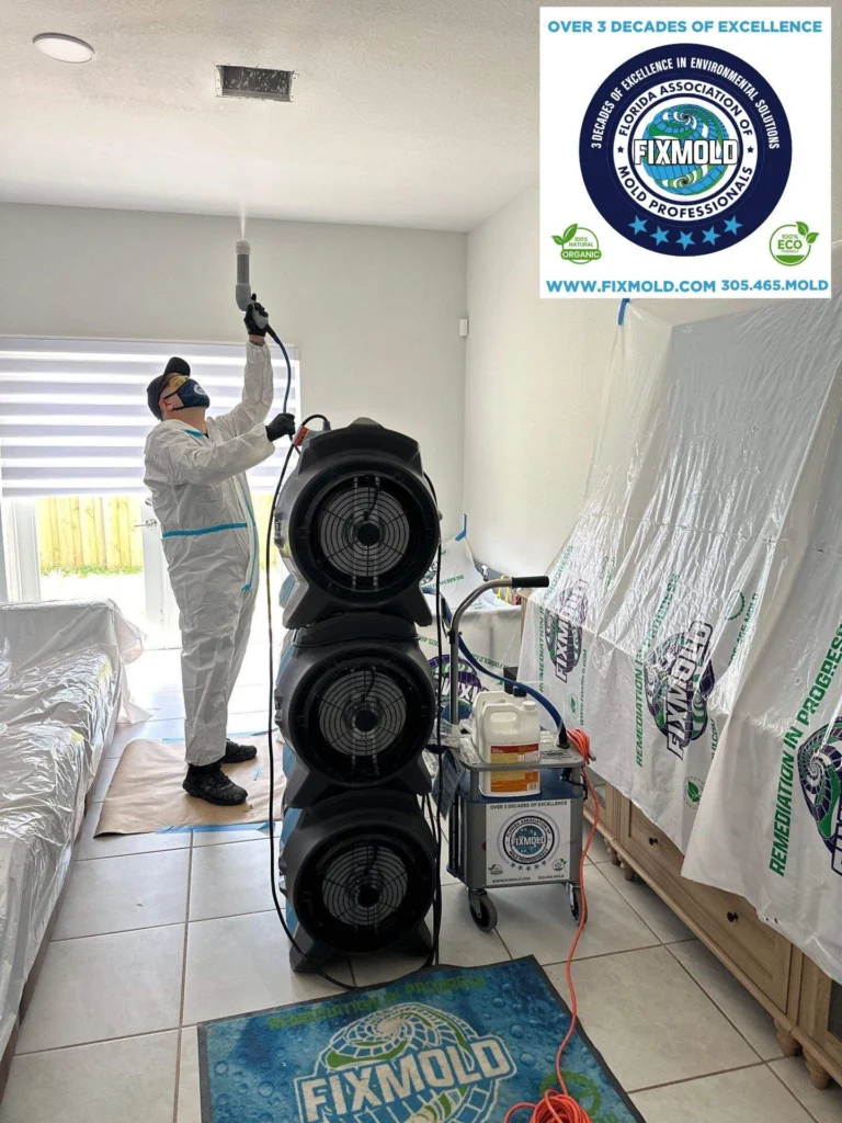mold remediation by Fixmold