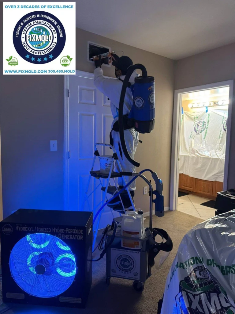 Fixmold miami