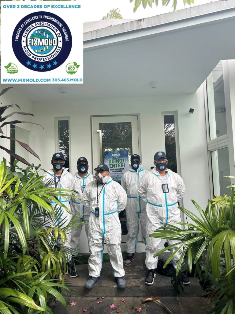 Fixmold team