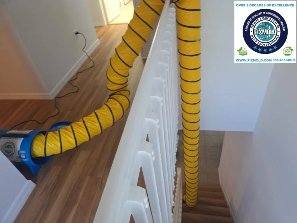 Fixmold Miami