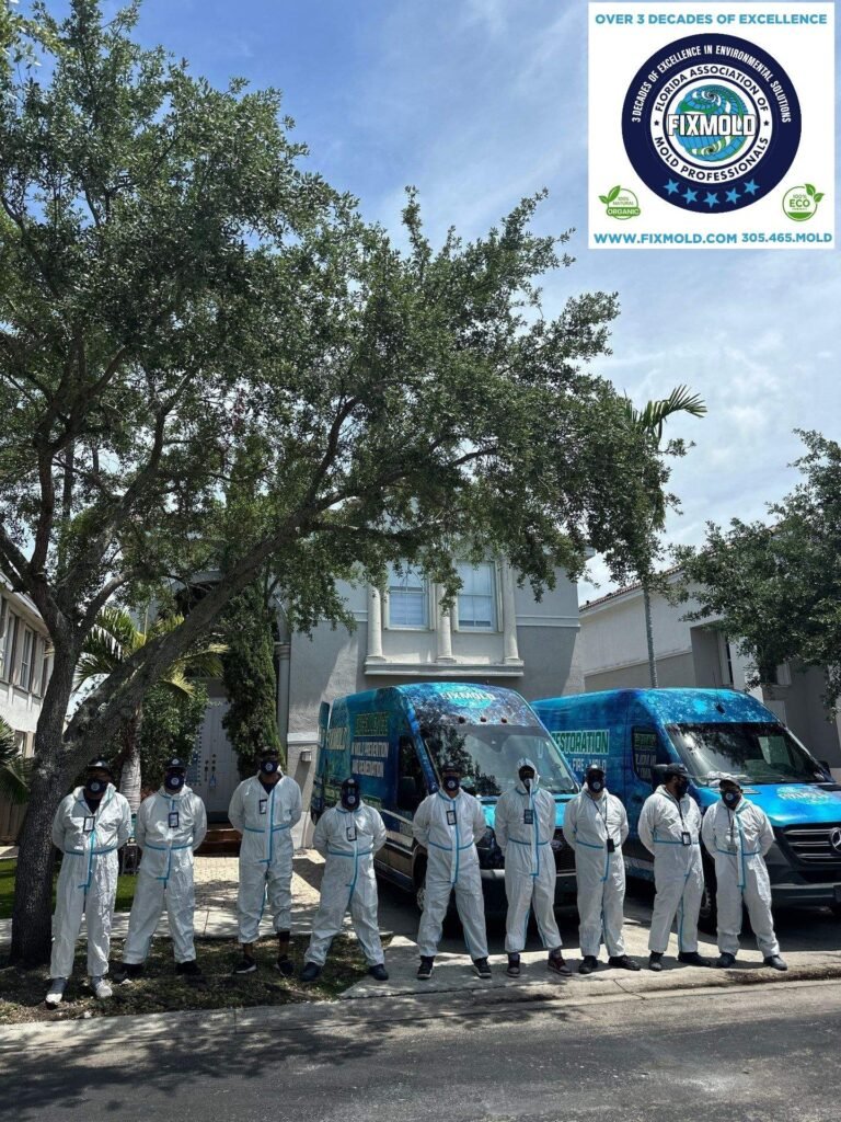 Fixmold team