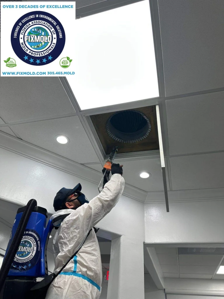mold remediation by Fixmold