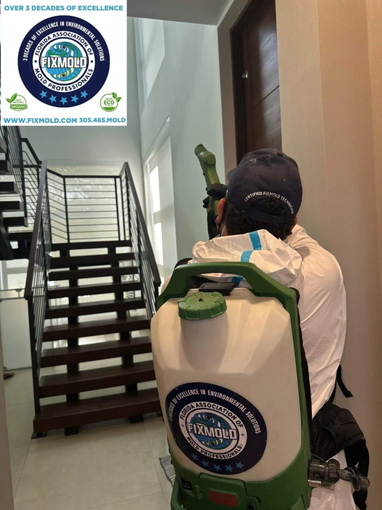 Fixmold Miami