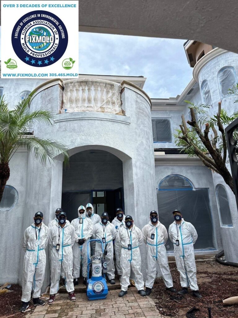 Fixmold Team