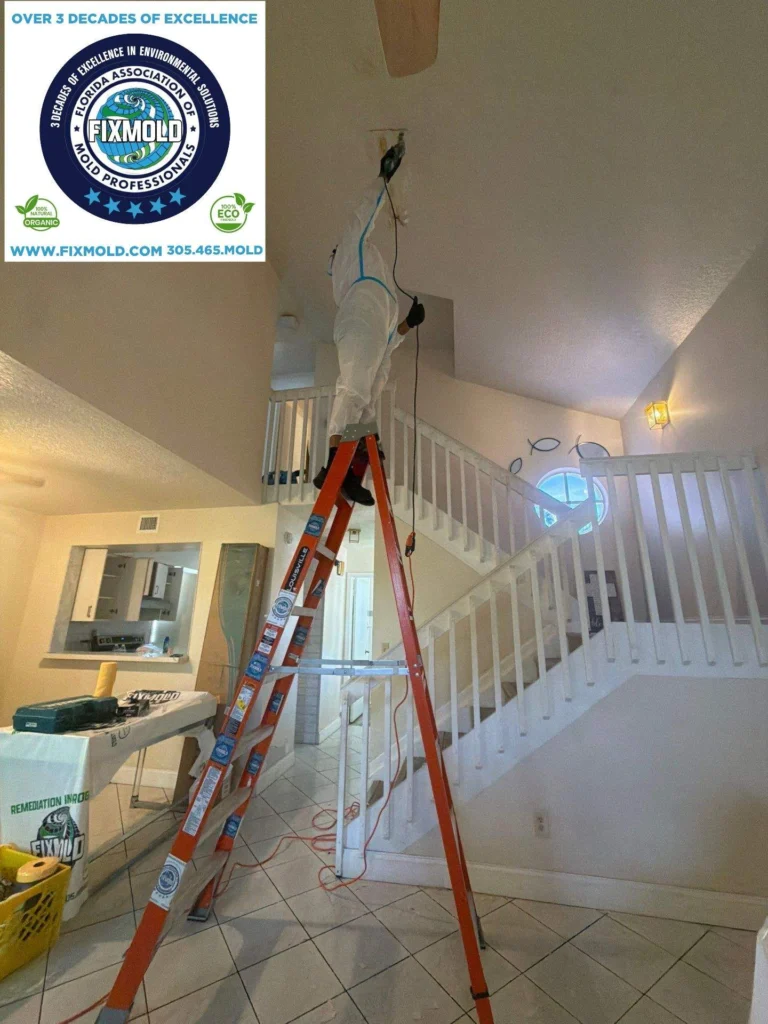 Fixmold miami