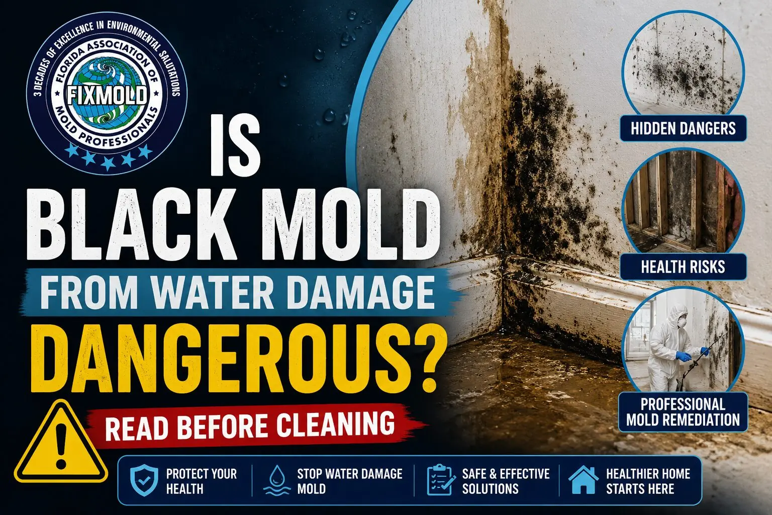is black mold from water damage dangerous